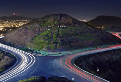 ​种大蒜过程小学生作文