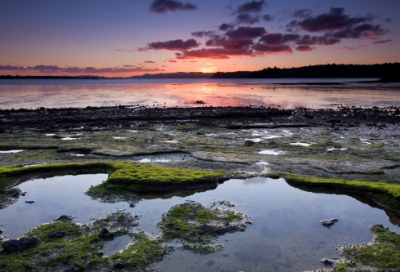 ​午间记事小学作文