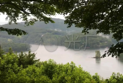 ​简短的一天小学生作文