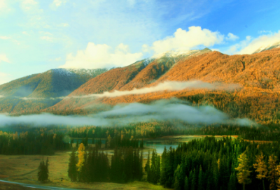 ​小学作文：为了未来，拼了