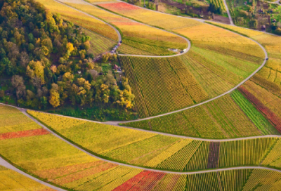 ​练习跳舞小学作文
