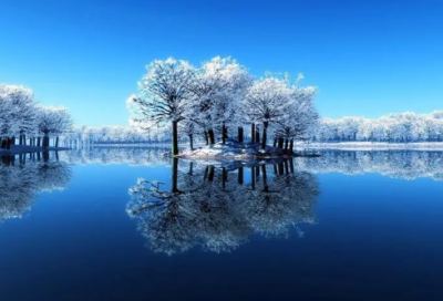 ​小学英语作文4篇