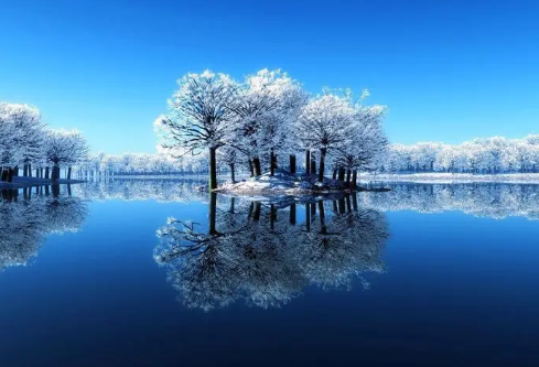 1710114520905685.png image.png