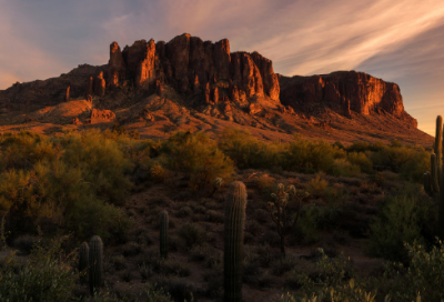 ​知道别人心情的办法优秀小学作文