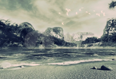 锦鲤小学生作文