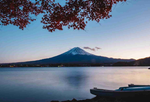 1710115516251975.png image.png