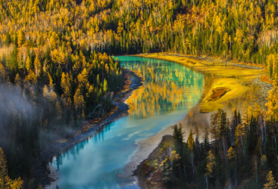 拉丁舞比赛小学生作文