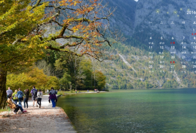 南郭先生找工作小学生作文