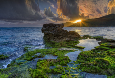 有趣的数学问题小学生作文