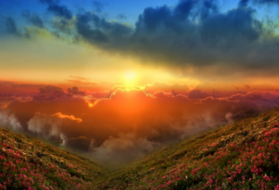 窗边的薄荷小学作文