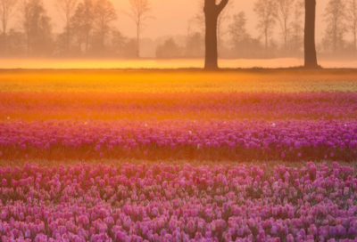 满洲里国门游览小学作文