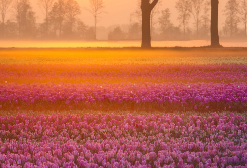 1710117010630046.png image.png