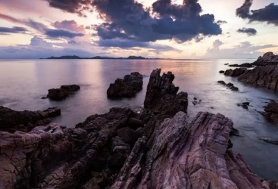 小学作文:烧烤的一天