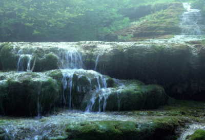 关于马虎的小学作文