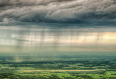 描写蓖麻的小学生作文