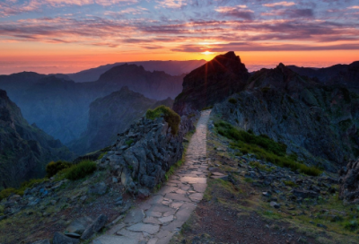 体验乘坐双层车小学作文