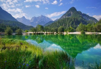 ​买鞋子小学作文