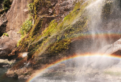 ​小果一天的零食小学生作文