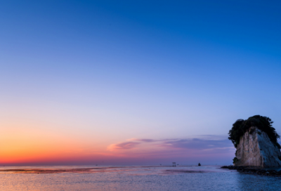 ​谁来了小学生作文