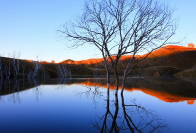 ​网吧小议小学生作文
