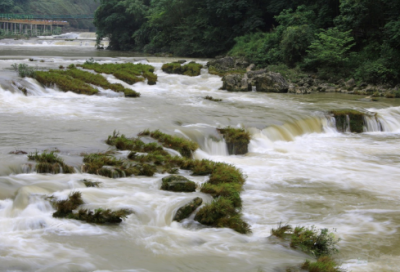 ​月的魅力小学作文