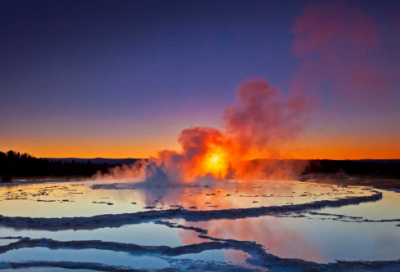 ​漂亮的七星瓢虫小学生作文
