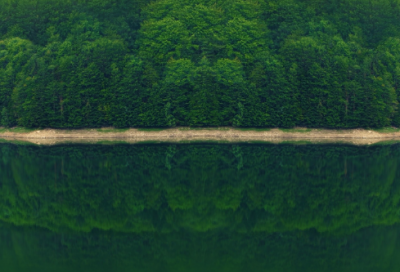 ​竖起大拇指小学作文