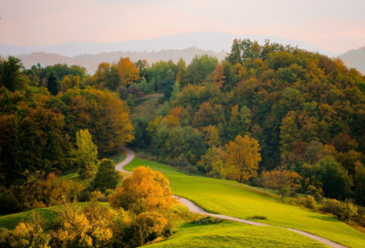 ​有趣的梦小学作文精选