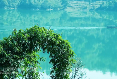 ​读刷子李有感小学优秀作文