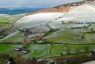 ​惊人的实验小学生作文