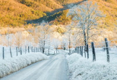 ​石榴的小学作文