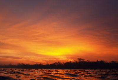 ​泡绿豆芽的小学作文