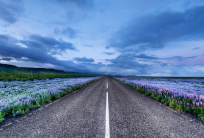 ​同样是她的骨肉小学作文