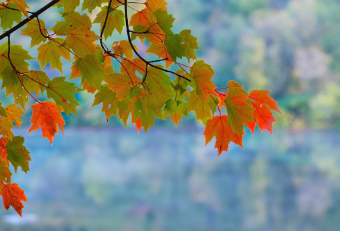 1710127797387461.png image.png