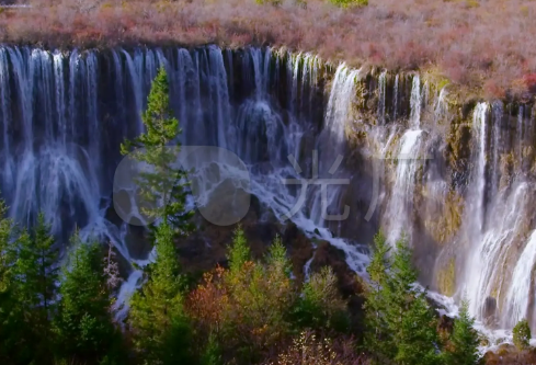 1710128129378206.png image.png