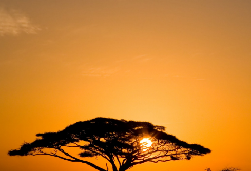 1710128460177864.png image.png