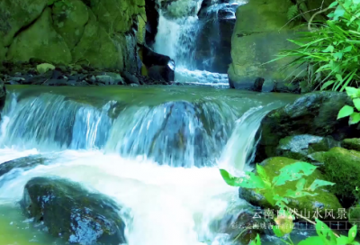 ​看日出小学优秀作文