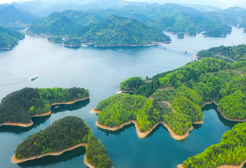 1710131779781090.png image.png