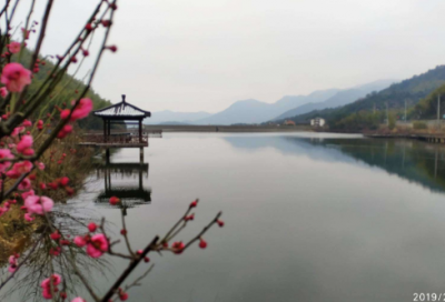 ​小学作文卤味酱鸭