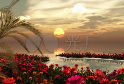 ​以蟋蟀为主题的小学作文