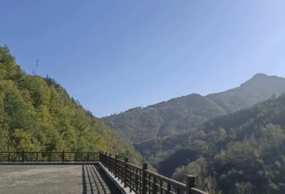 ​小学难忘的一次体验作文