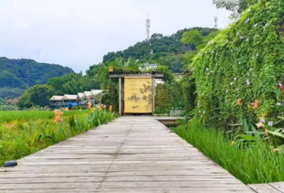 ​惊心动魄的一节英语课小学作文