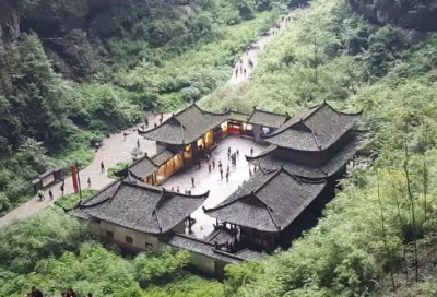 ​最顽强的植物小学生作文
