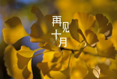 ​森林系女孩小清新网名(146个)