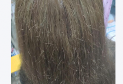 ​国际法学论文范例6篇