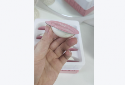 ​项目简报模板范例6篇